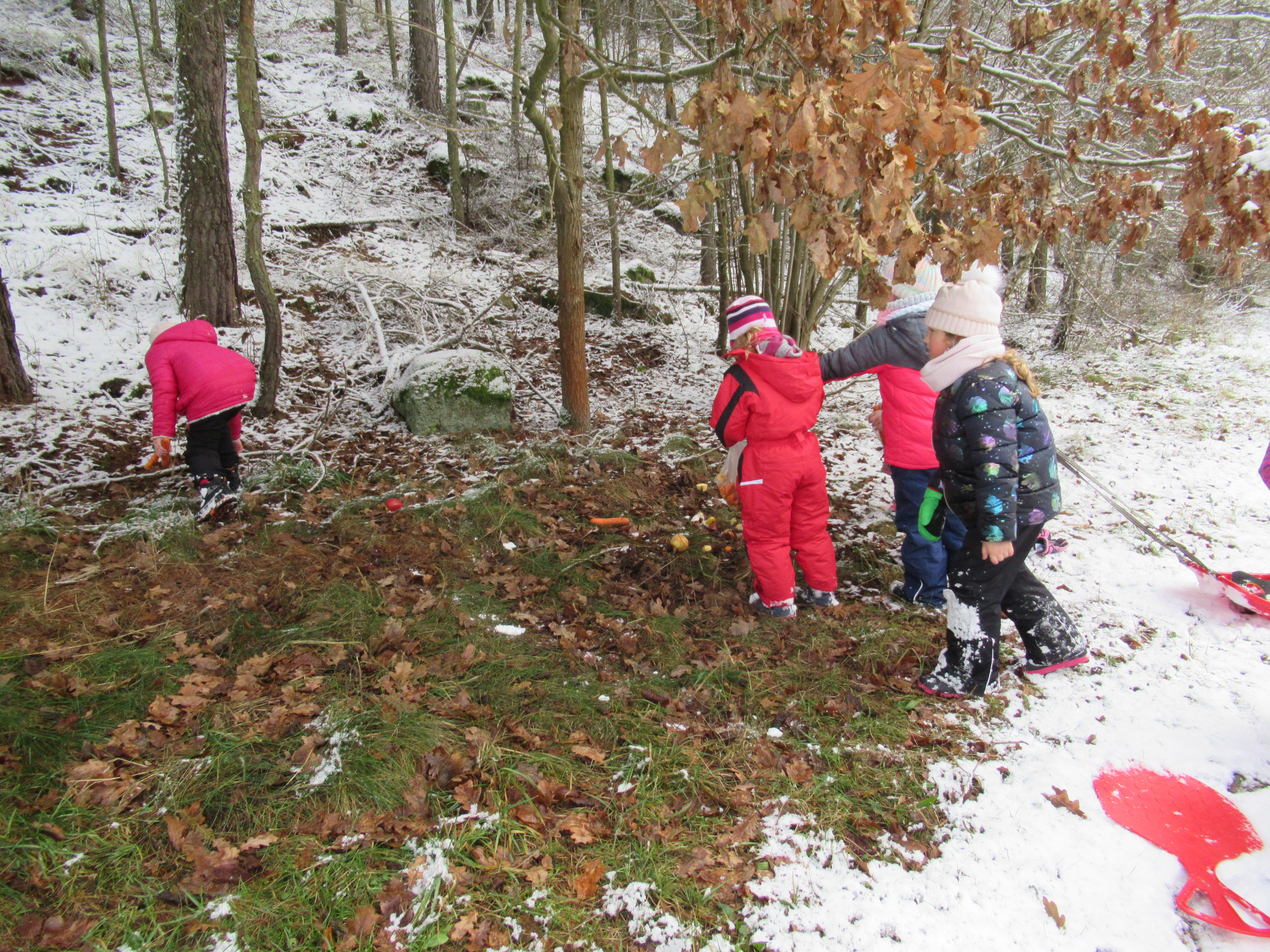 IMG-1077